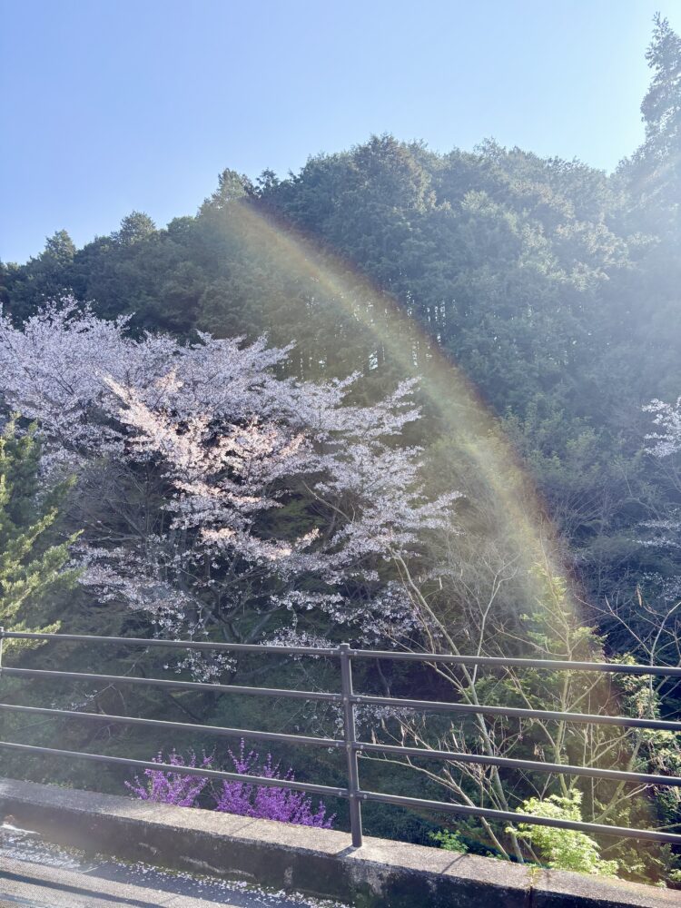 基山町の春🌸│佐賀　トレーラーハウス